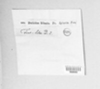 Dothiora ribesia image